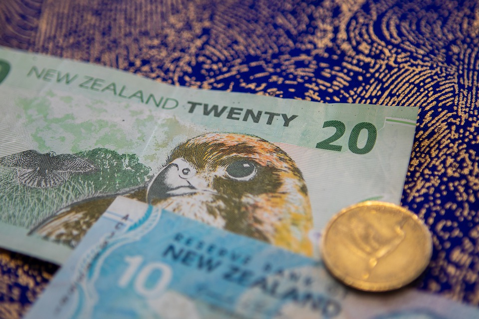 New Zealand Economy