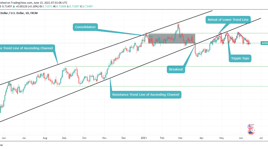 NZDUSD Is Set to Reverse