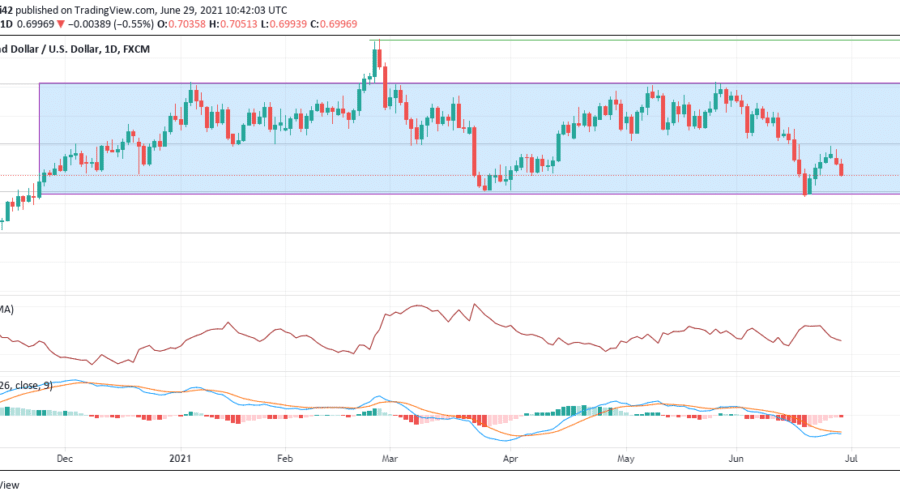 NZDUSD Is Set to Continue Its Consolidation Phase