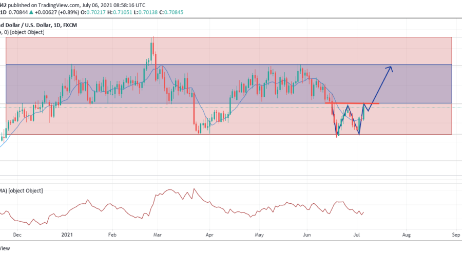 NZDUSD employs Double Bottom Reversal Pattern