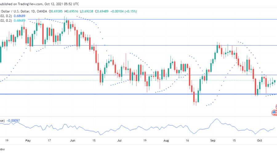 NZDUSD rebounds