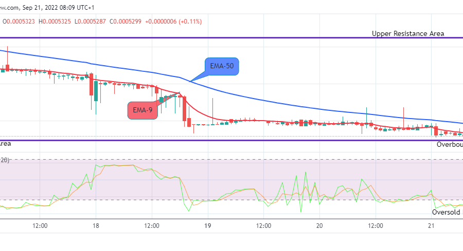 LBLOCKUSD is about to resume its bullish race. The cryptocurrency is trying hard not to fall heavily to the downside