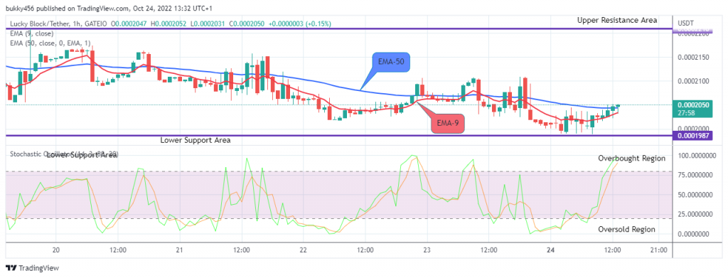 Bulls are Gaining Strength