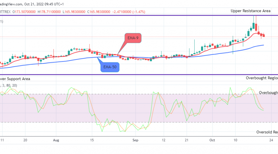 QNTUSD Long-term Trend: Bullish (Daily chart)