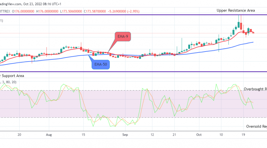 QNTUSD Long-term Trend: Bullish (Daily chart)