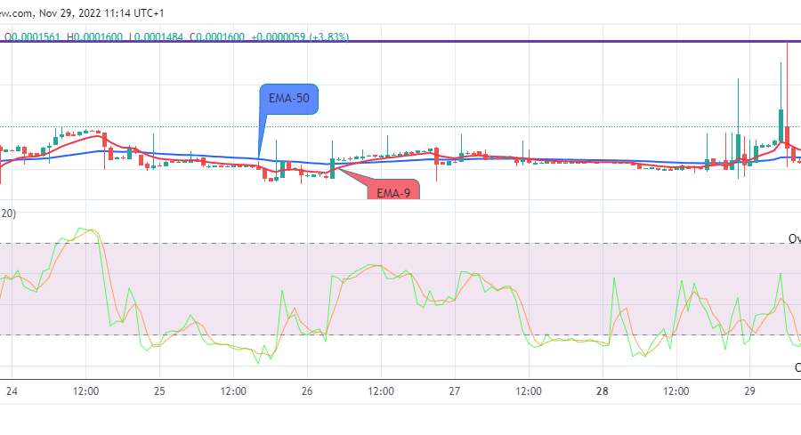 Lucky Block Price Prediction: LBLOCKUSD Will Increase Further