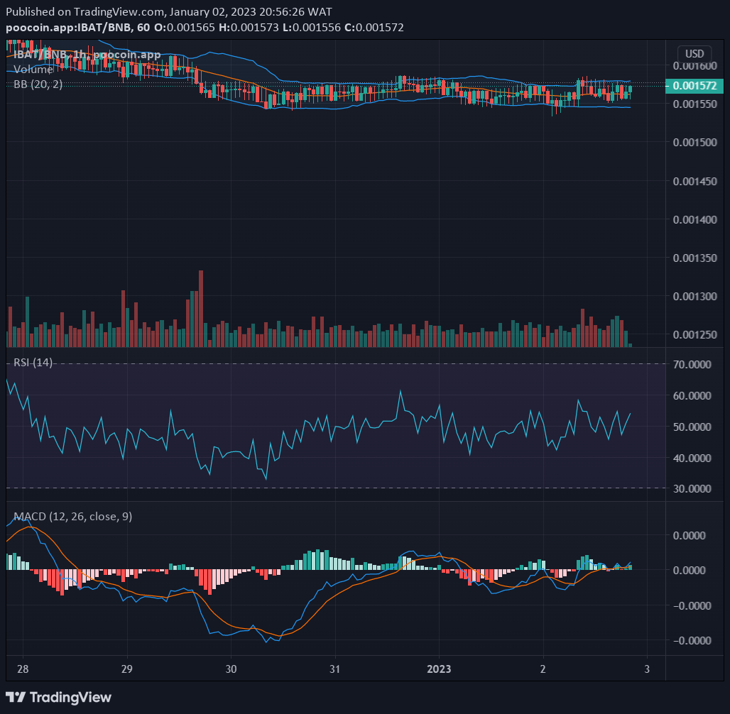 ibat crypto price prediction