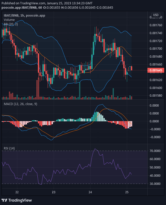 ibat crypto price prediction