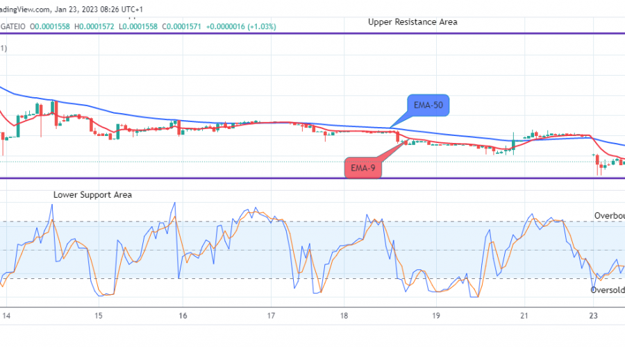 Lucky Block Price Prediction: LBLOCKUSD – Bulls Are Ready to Raise the Buying Pressure