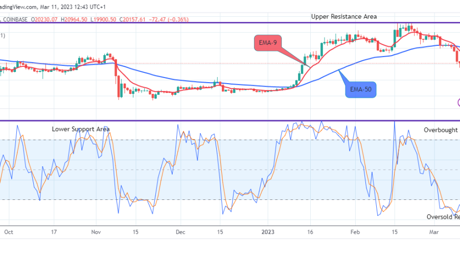 Bitcoin (BTCUSD) Price Could See another Uphill Trend Soon