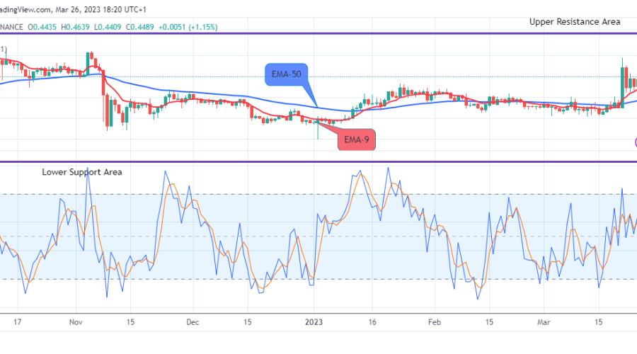Ripple (XRPUSD) Next Price Target Maybe the $1.00 High Level