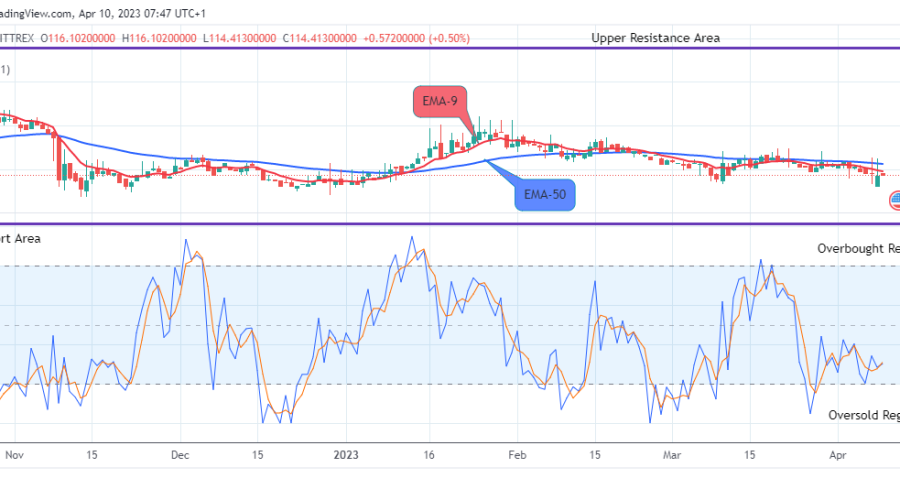 Quant (QNTUSD) Price to Retrace at the $114.41 Support Value