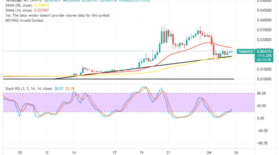 Tamadoge (TAMA/USD) Trade Has a Lower-Rising Confluence