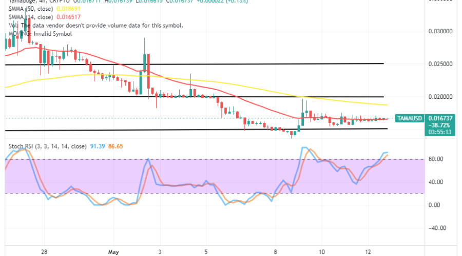 Tamadoge (TAMA/USD) Market Moves Sideways, Getting Set for Ups