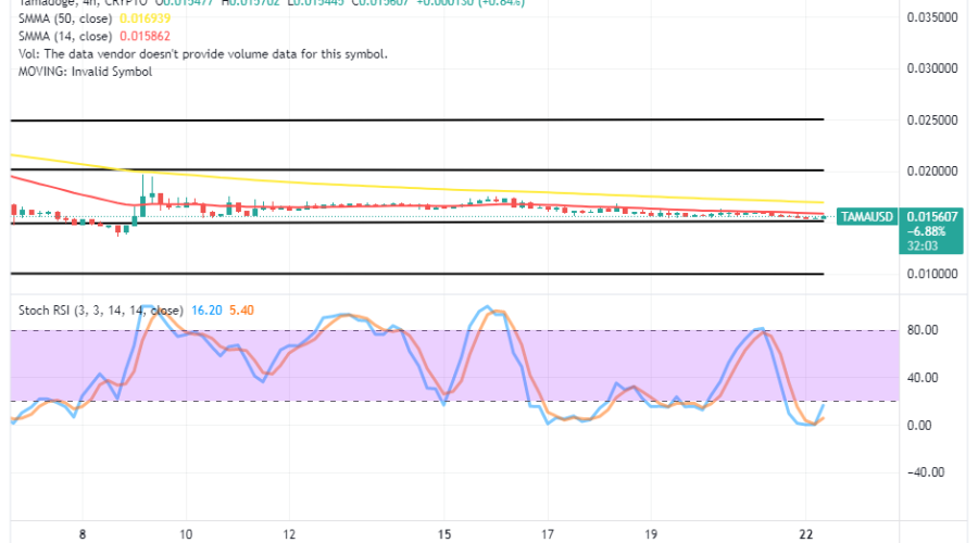 Tamadoge (TAMA/USD) Market Keeps Sideways With a Rallying Sign
