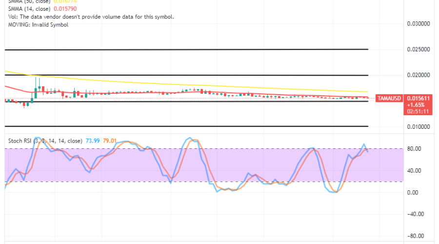 Tamadoge (TAMA/USD) Price Retains Building Firmly for Heightening