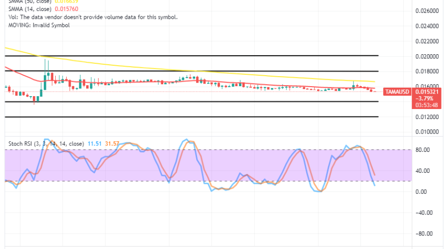 Tamadoge (TAMA/USD) Prices Conduct a Less Rebounding Activity