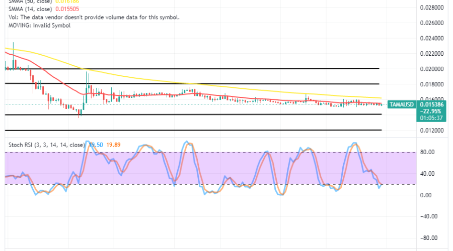 Tamadoge (TAMA/USD)Markets to Hold Positions in Promissory Ups
