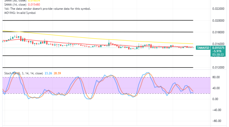 Tamadoge (TAMA/USD) Market Is Creating a Foundation for Bounces