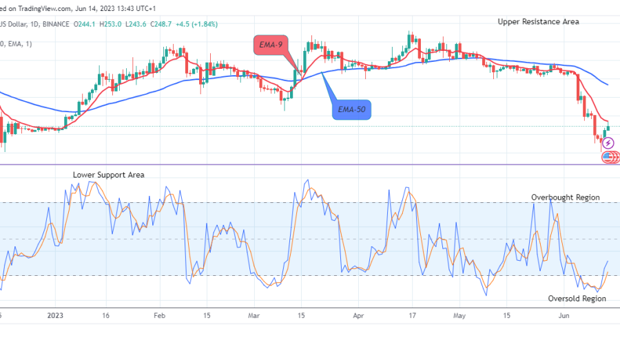 Binance Coin (BNBUSD) Set to Rise Further! BUY!