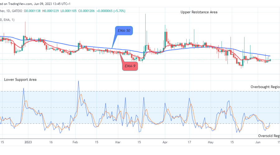 Lucky Block Price Prediction: LBLOCKUSD Price Is Going Higher, Purchase Now!