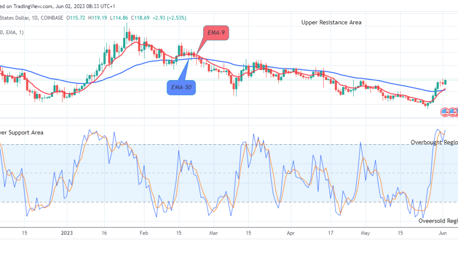 Quant (QNTUSD) Remains Strongly Bullish at the $119.19 Resistance Level, Invest!