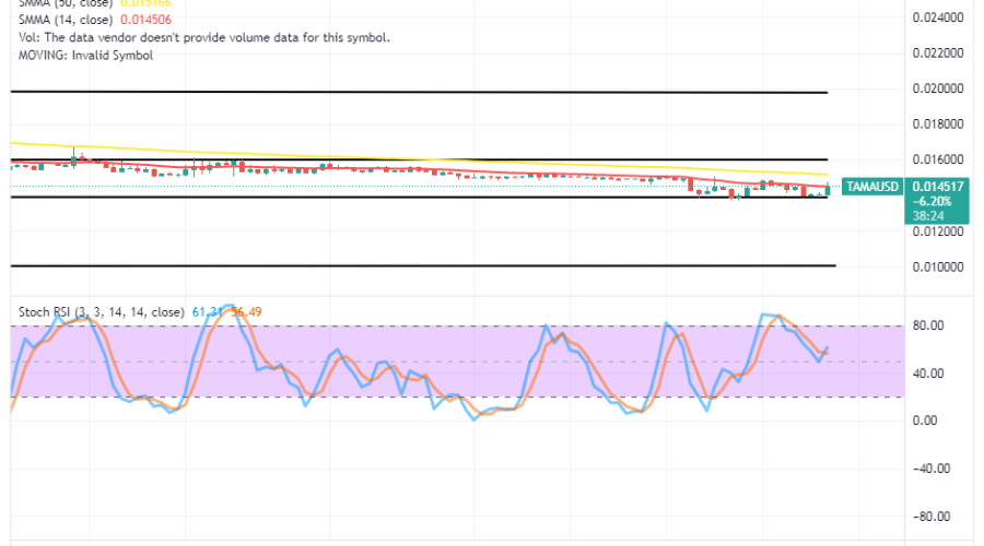 Tamadoge (TAMA/USD) Price Is Pushing Upwards to Break Resistance