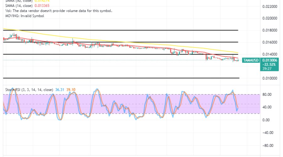 Tamadoge (TAMA/USD) Trade Is in Decline, Foretelling an Explosion