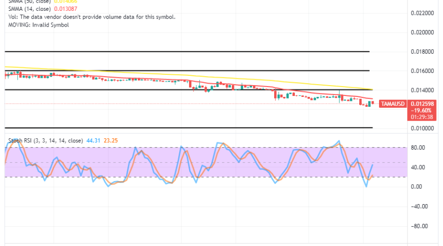 Tamadoge (TAMA/USD) Price Garners Catalysts, Breaking Supports