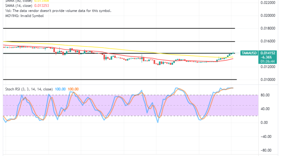 Tamadoge (TAMA/USD) Market Is Swinging High, Striving for More