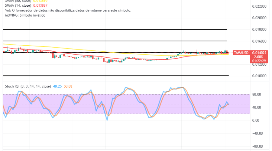 Tamadoge (TAMA/USD) Trade Pushes in Ranges, Staging a High Swing