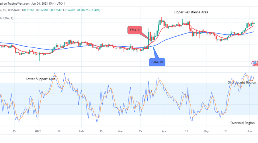 XRP (XRPUSD) Looks Good for the Long Investors