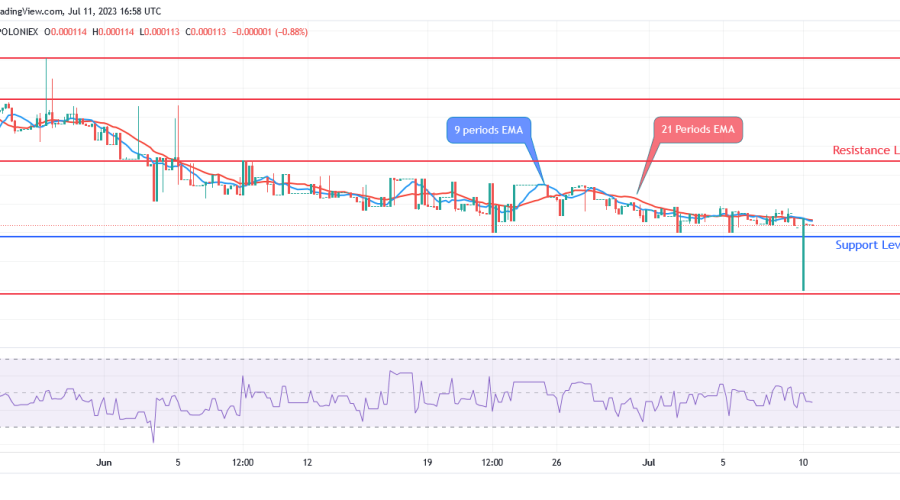 Sponge (SPONGEUSDT) Price: To Draw in More Customers, Price Is Reduced