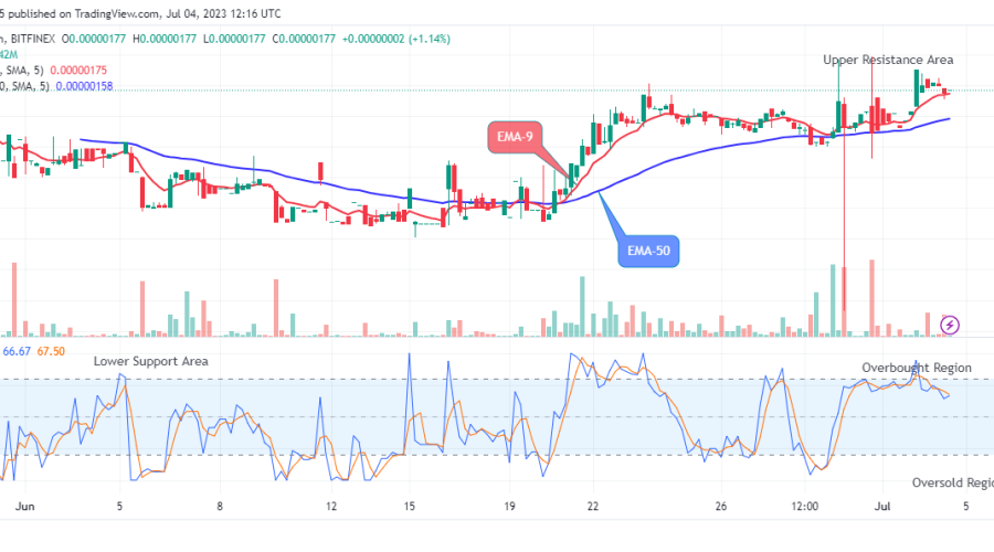 Pepe (PEPEUSD) Potential for Bullish Rise amid Market Uncertainty