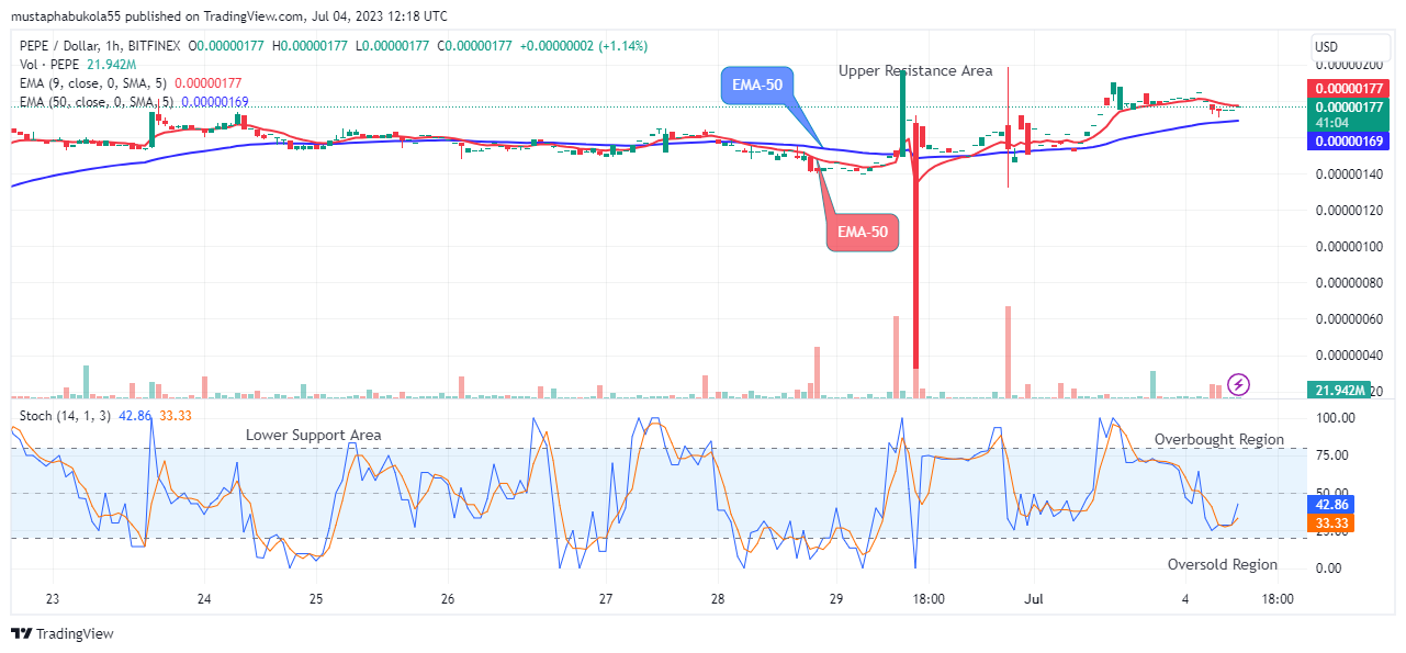 Pepe (PEPEUSD) Potential for Bullish Rise amid Market Uncertainty