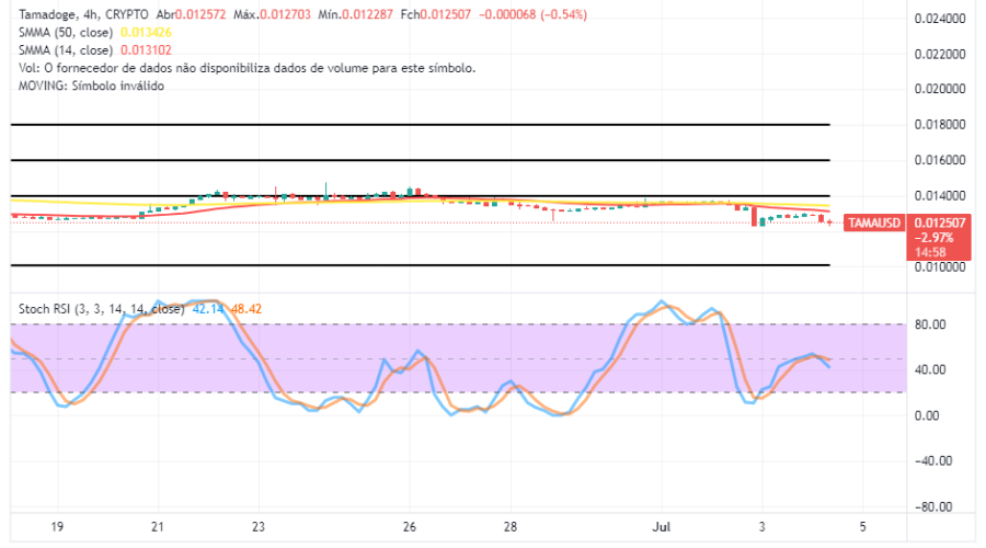 Tamadoge's (TAMA/USD) Market Is Pricing Lowly, Creating Room for a Hike