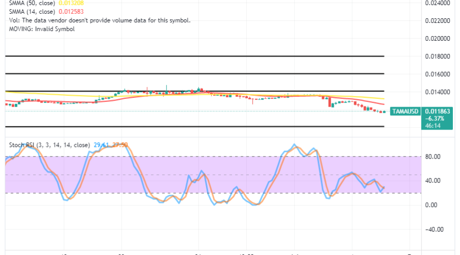 Tamadoge's (TAMA/USD) Market Moves to Optimal Lows, Bracing for Ups