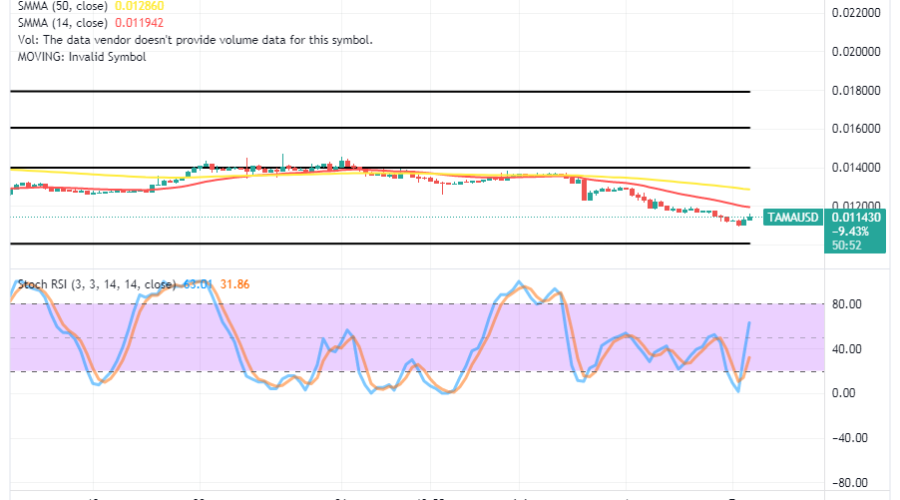 Tamadoge (TAMA/USD) Price Is in Rally State, Vying for More Ups