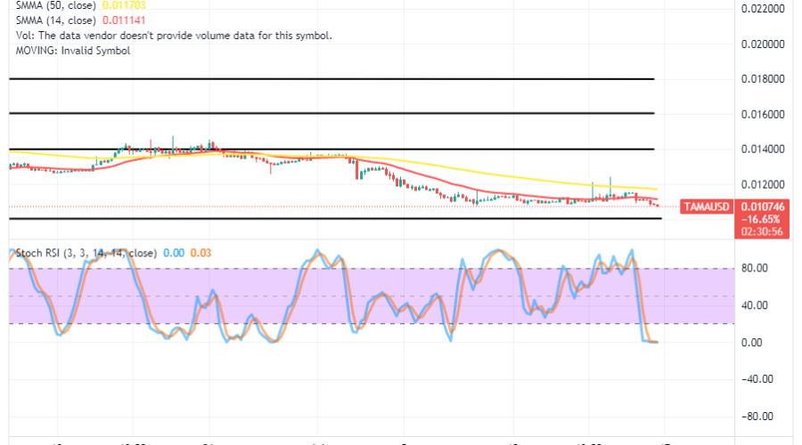 Tamadoge (TAMA/USD) Price Is Dropping, Prolonging an Explosion