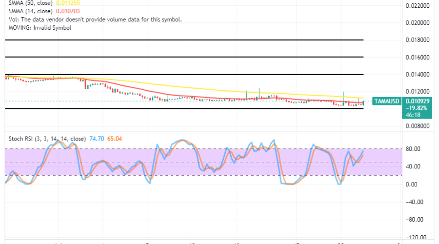 Tamadoge (TAMA/USD) Price Maintains a Foothold, Taking Less Action