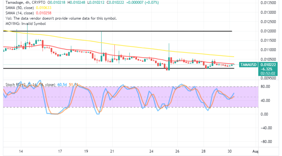 Tamadoge (TAMA/USD) Price Holds Firm on $0.0100, Attempting Ups