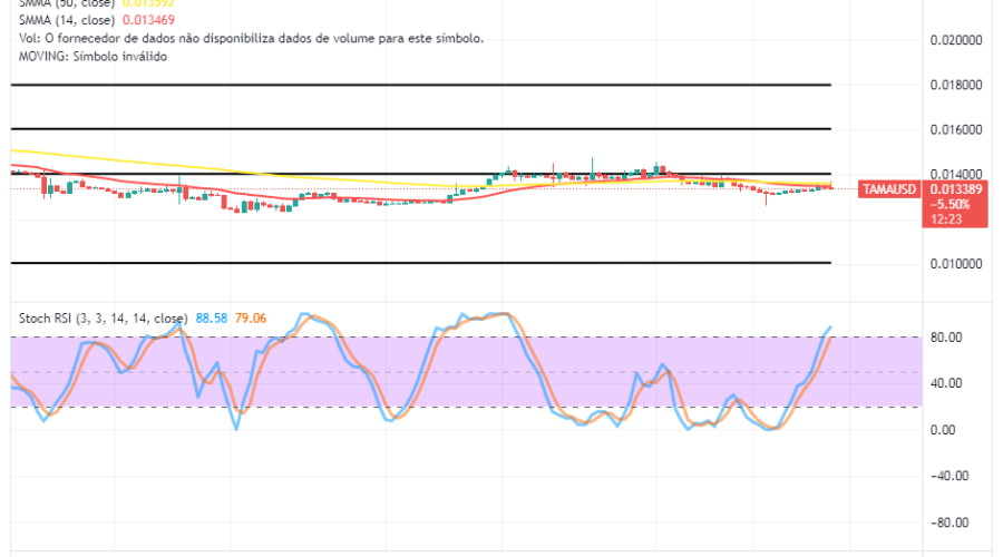 Tamadoge's (TAMA/USD) Price Prolongs Range Moves, Nursing a Bounce