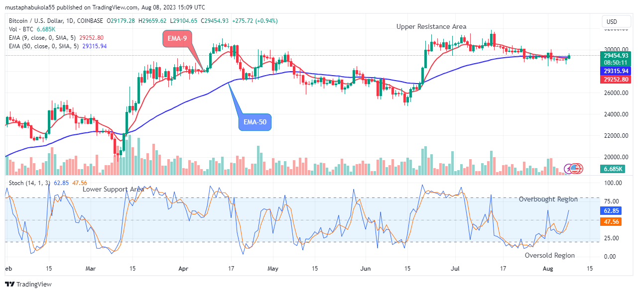 Bitcoin (BTCUSD) Price Shows a Bullish Flag