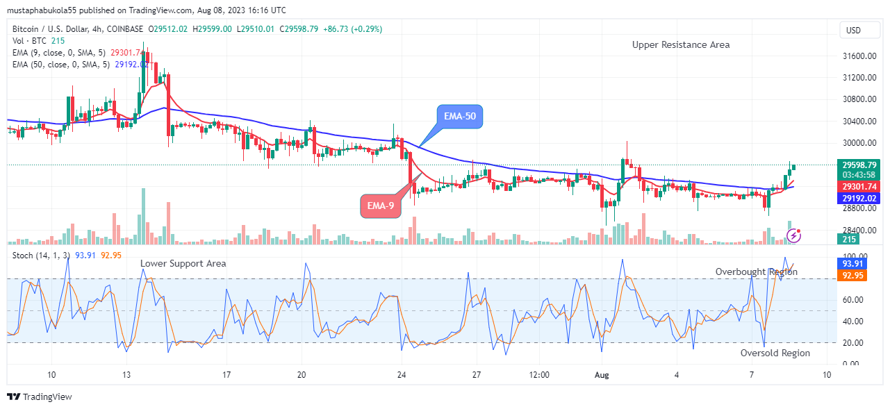 Bitcoin (BTCUSD) Price Shows a Bullish Flag