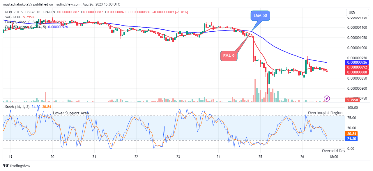 Pepe (PEPEUSD) Price to Rebound at the $0.000000873 Support Value Soon  