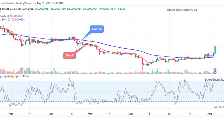 Shiba-Inu (SHIBUSD) Price Good to Long at $0.00001050 Price Level