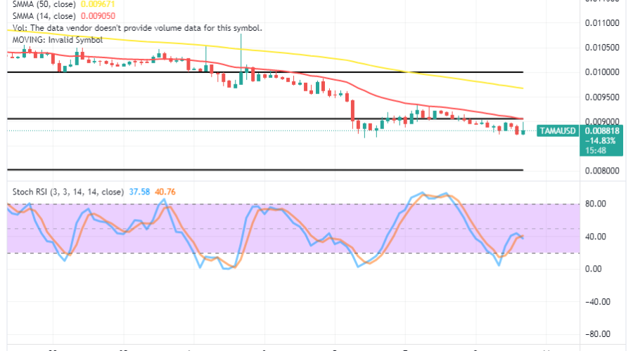 Tamadoge (TAMA/USD) Market Is Falling, Trying to Sprout Up