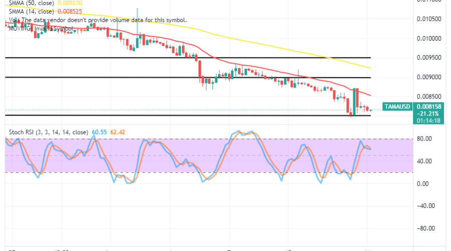 Tamadoge (TAMA/USD) Trade Pulls Down, Resettling a Rebound