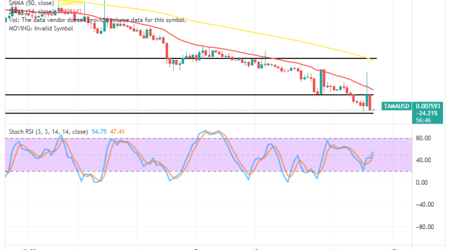 Tamadoge (TAMA/USD) Market Touches a Base, Making Hikes
