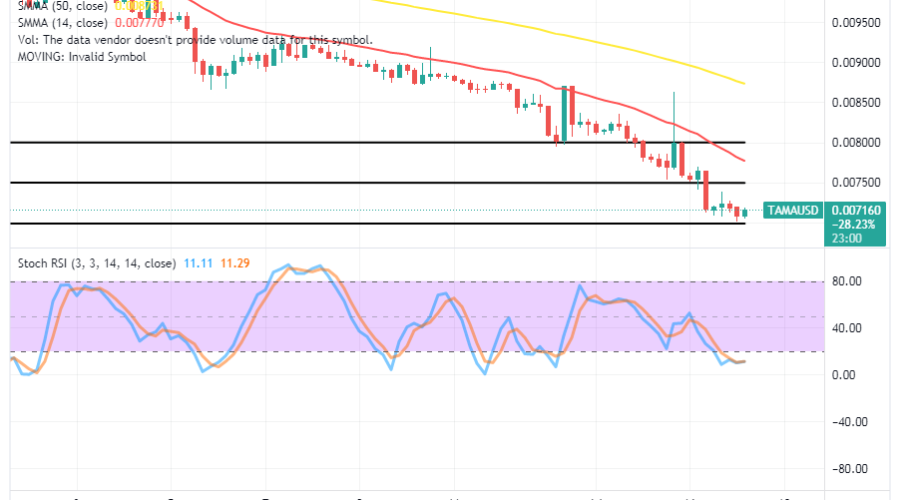 Tamadoge (TAMA/USD) Trade Extends a Base, Trying to Spike